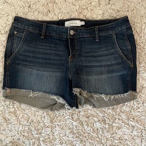 Torrid shorts